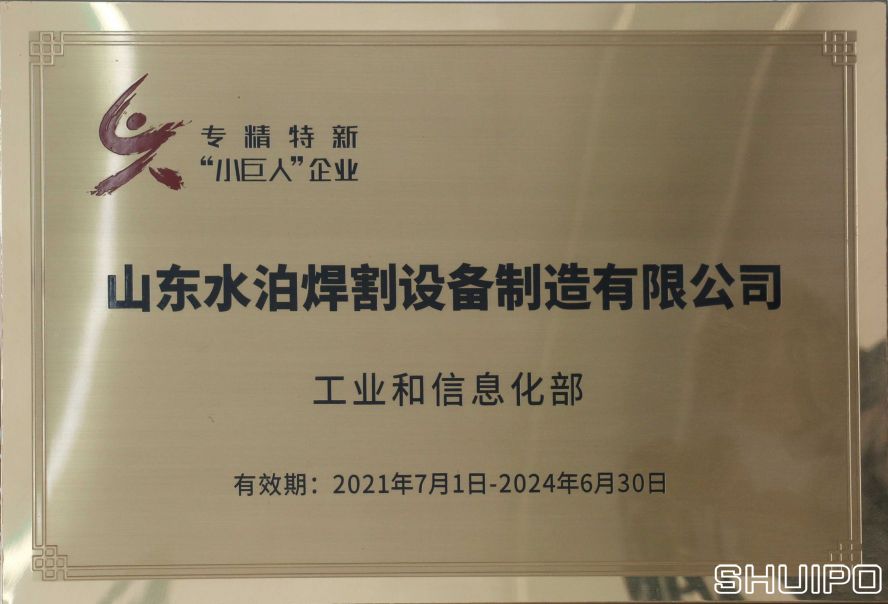 1.專精特新小巨人企業 1.專精特新小巨人企業